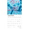 Microscopic World of Innerspace | 2026 12 x 24 Inch (Hanging) Monthly Square Wall Calendar | Plastic-Free